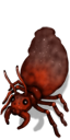 insect_ant_queen_ant.png