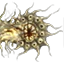 spinal_cord_head_top_a_02.png