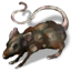 undead_rodent_ghoulish_rat.png