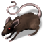 undead_rodent_vampire_rat.png