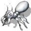 white_ant.png