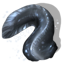 electric_eel_tail.png