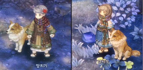 シェパード Tree Of Savior Wiki Wiki