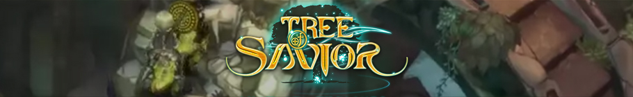 よくある質問 Tree Of Savior Wiki Wiki