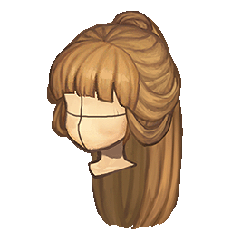 hair_richhair.png