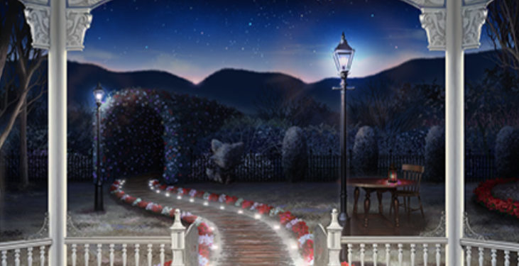 日常のガーデン 師走・夜 日常のガーデン 師走・夜