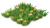 野生の花.png