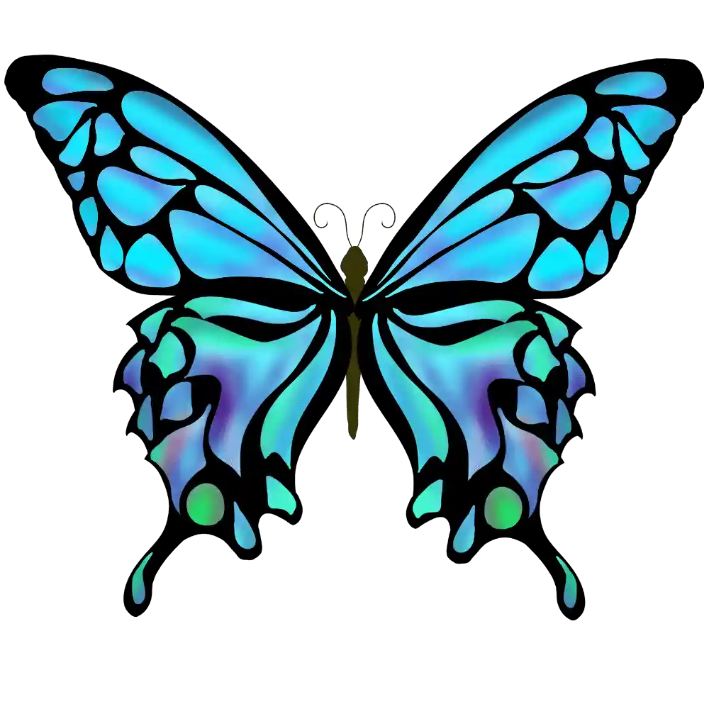butterfly-illust1.png