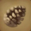 PINECONE.png