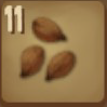 palm_seed.png