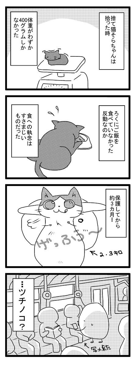 コレクション6 猫マンガ家うだま まとめ Wiki