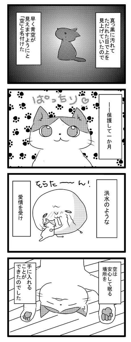 コレクション6 猫マンガ家うだま まとめ Wiki