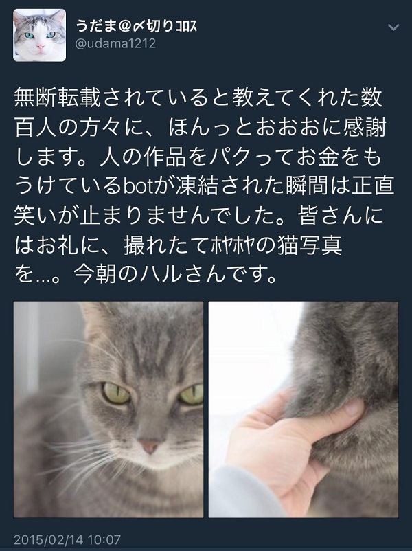 問題個人 猫マンガ家うだま まとめ Wiki