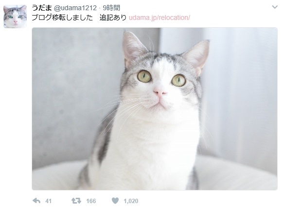 復帰 猫マンガ家うだま まとめ Wiki