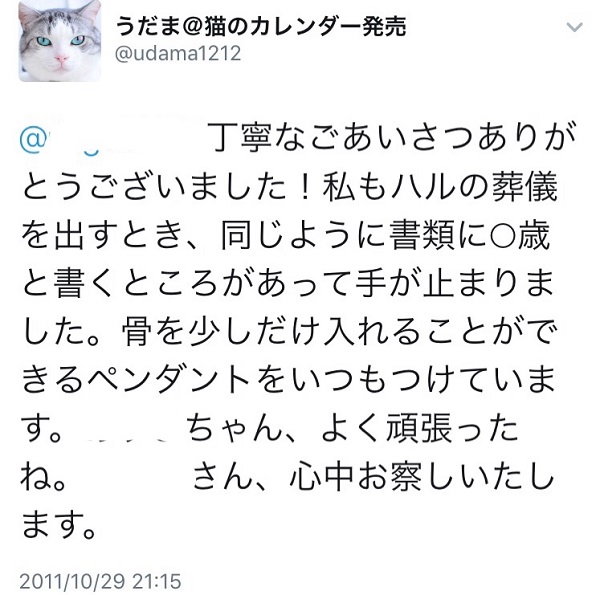 猫好きなのか 猫マンガ家うだま まとめ Wiki 猫好きなのか 猫マンガ家うだま まとめ Wiki