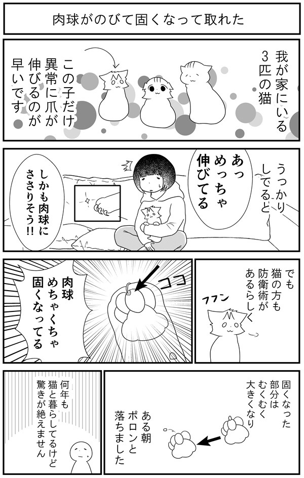 猫漫画 猫マンガ家うだま まとめ Wiki