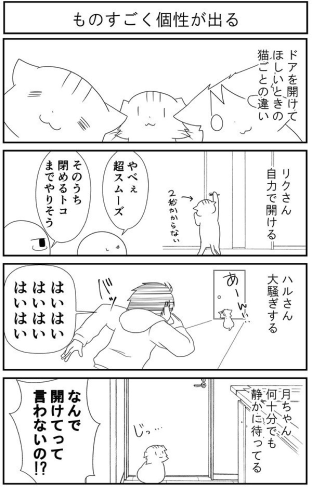 猫漫画5 猫マンガ家うだま まとめ Wiki