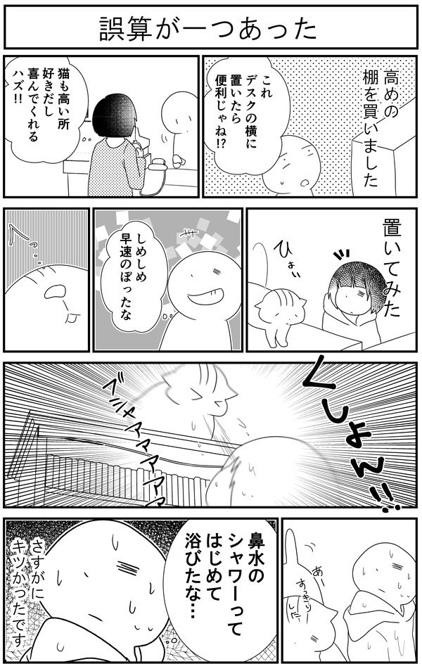 猫漫画5 猫マンガ家うだま まとめ Wiki