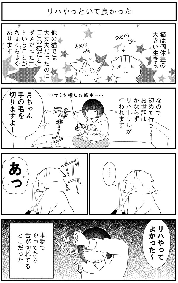 猫漫画5 猫マンガ家うだま まとめ Wiki