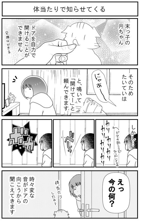 猫漫画5 猫マンガ家うだま まとめ Wiki