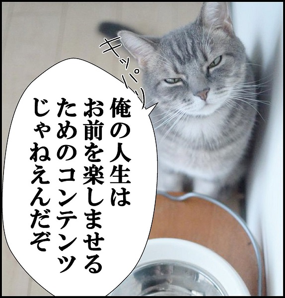 猫 猫マンガ家うだま まとめ Wiki