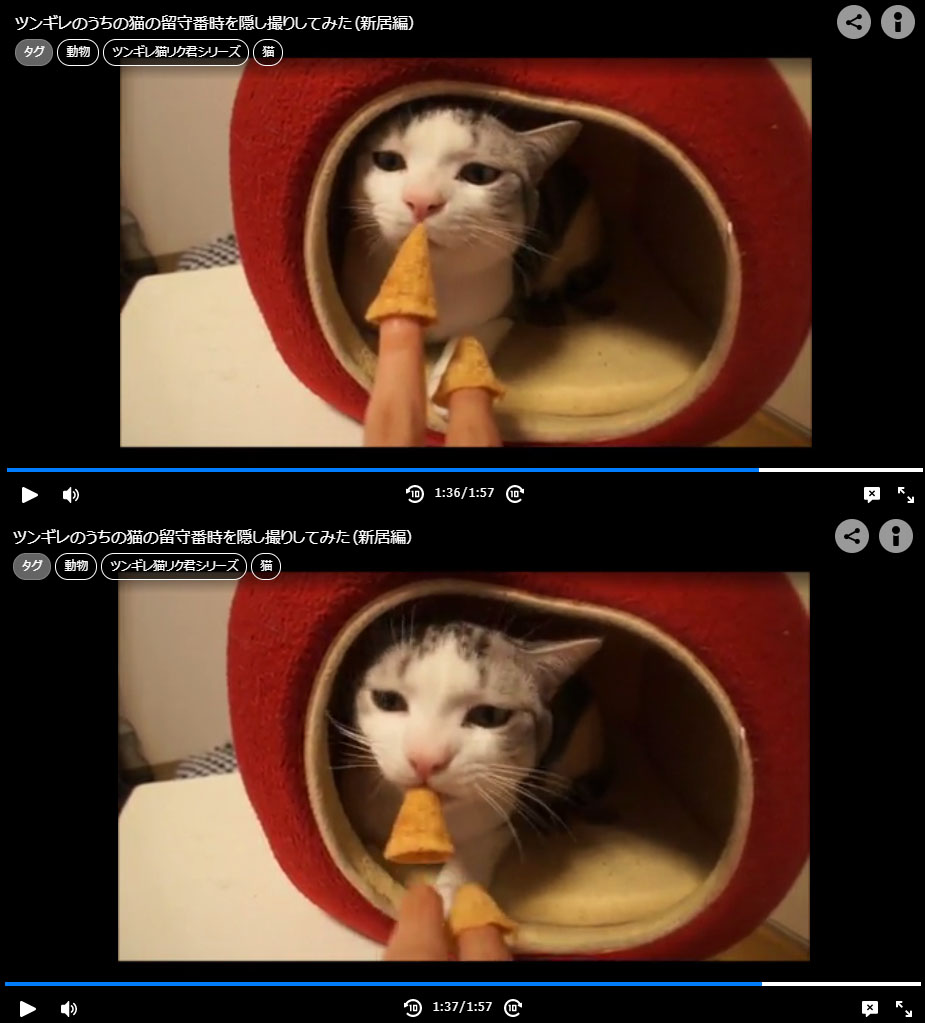 矛盾 猫マンガ家うだま まとめ Wiki 矛盾 猫マンガ家うだま まとめ Wiki