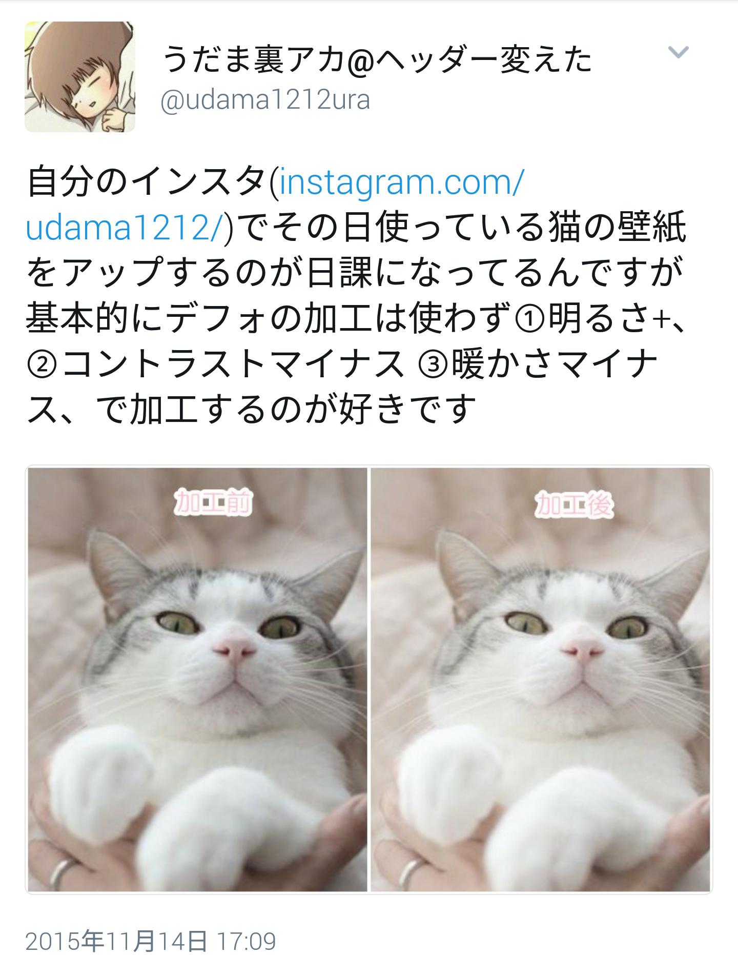 賛否両論 猫マンガ家うだま まとめ Wiki