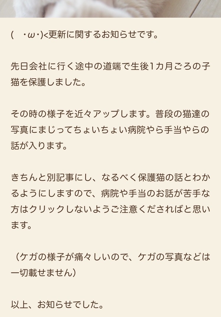復帰2 猫マンガ家うだま まとめ Wiki 復帰2 猫マンガ家うだま まとめ Wiki