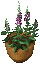 flowerpot-3.gif