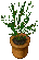 flowerpot-4.gif