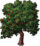 Apple-Tree.gif