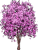 Cherry-Blossom-Tree.gif