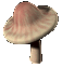 Dread-Horn-Tainted-Mushroom1.gif