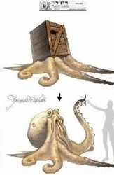 Case Octopus.png