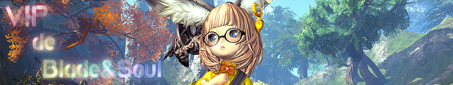 装備強化素材 Vipでblade Soul Wiki