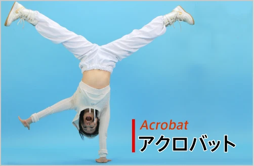 acrobat-main.png