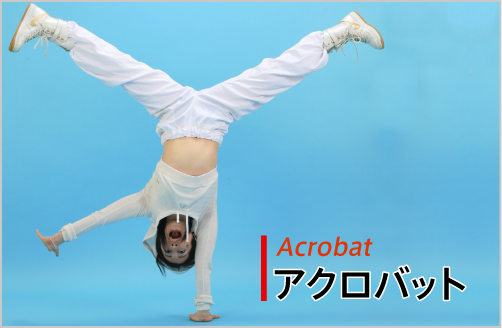acrobat-main.png acrobat-main.png