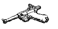 p08.jpeg p08.jpeg