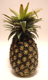 pineapple.jpg pineapple.jpg
