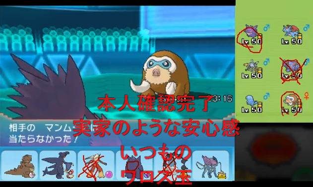 ペリカン ポケモン実況プレイヤー Vipでgt6 Wiki ペリカン ポケモン実況プレイヤー Vipでgt6 Wiki