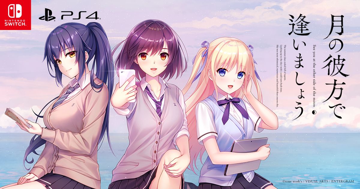月の彼方で逢いましょう ビジュアルファンブック 515FPviBlKL._UF350,350_QL80_.jpg