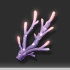 紫珊瑚.webp