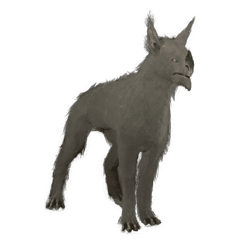 SunikaKubrow.png