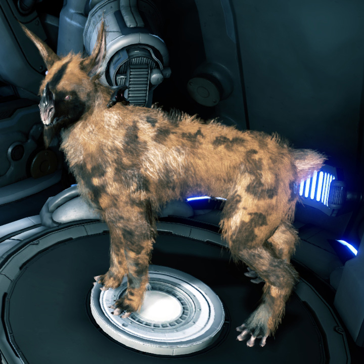 クブロウ Kubrow Warframe Wiki