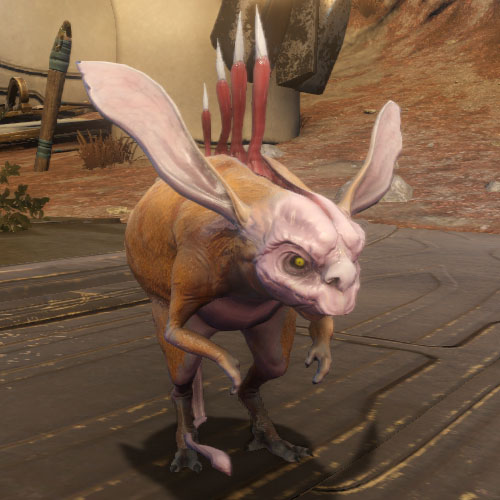 敵 中立 Warframe Wiki 敵 中立 Warframe Wiki