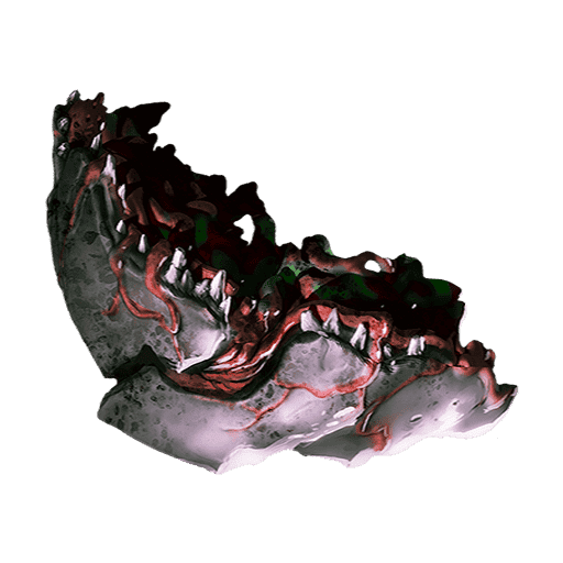 キチン質の外殻