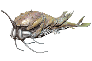 釣り Fishing Warframe Wiki