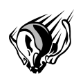 1番アビリティ名_ 1番アビリティ名_