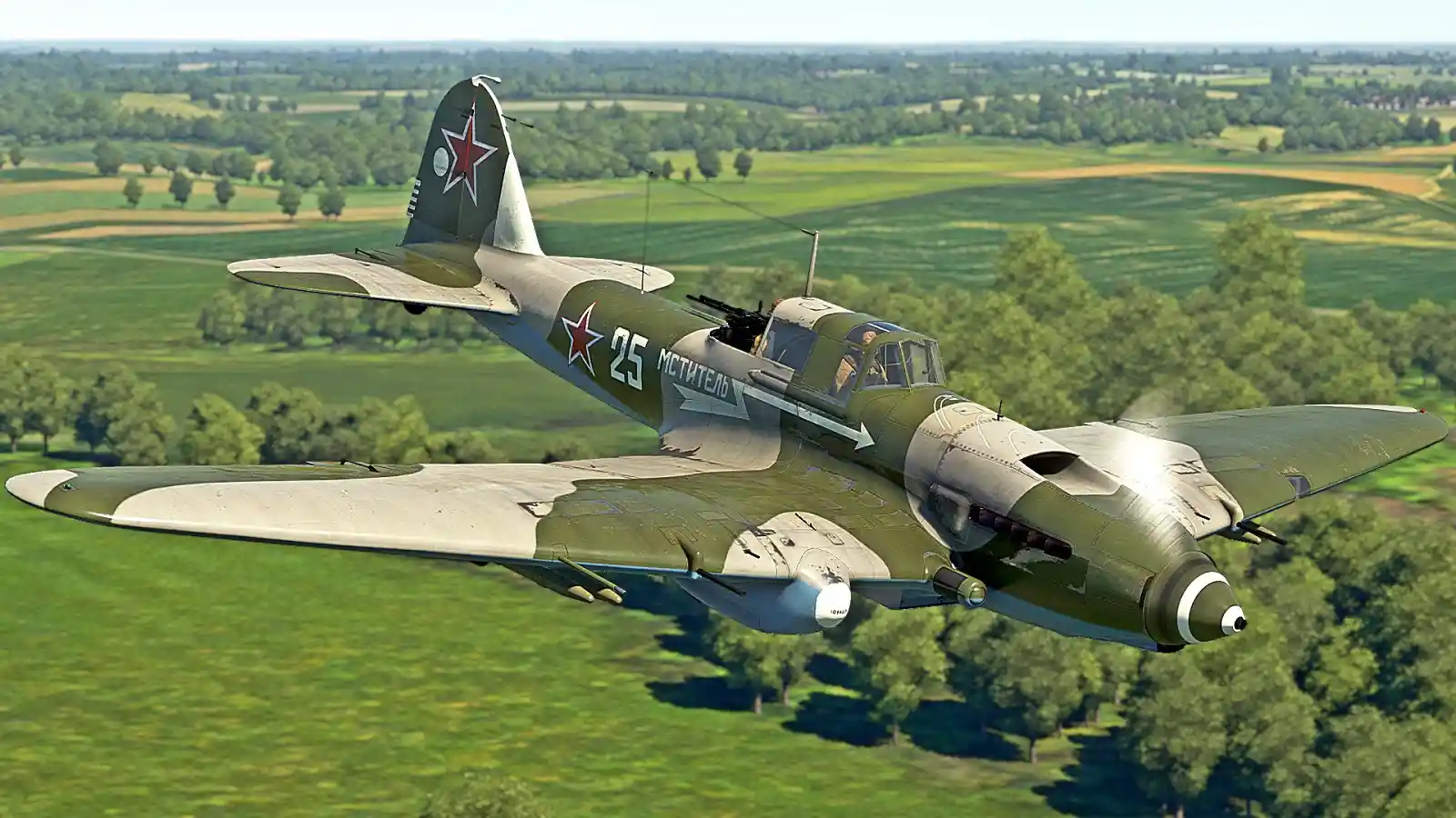 IL-2M.jpg
