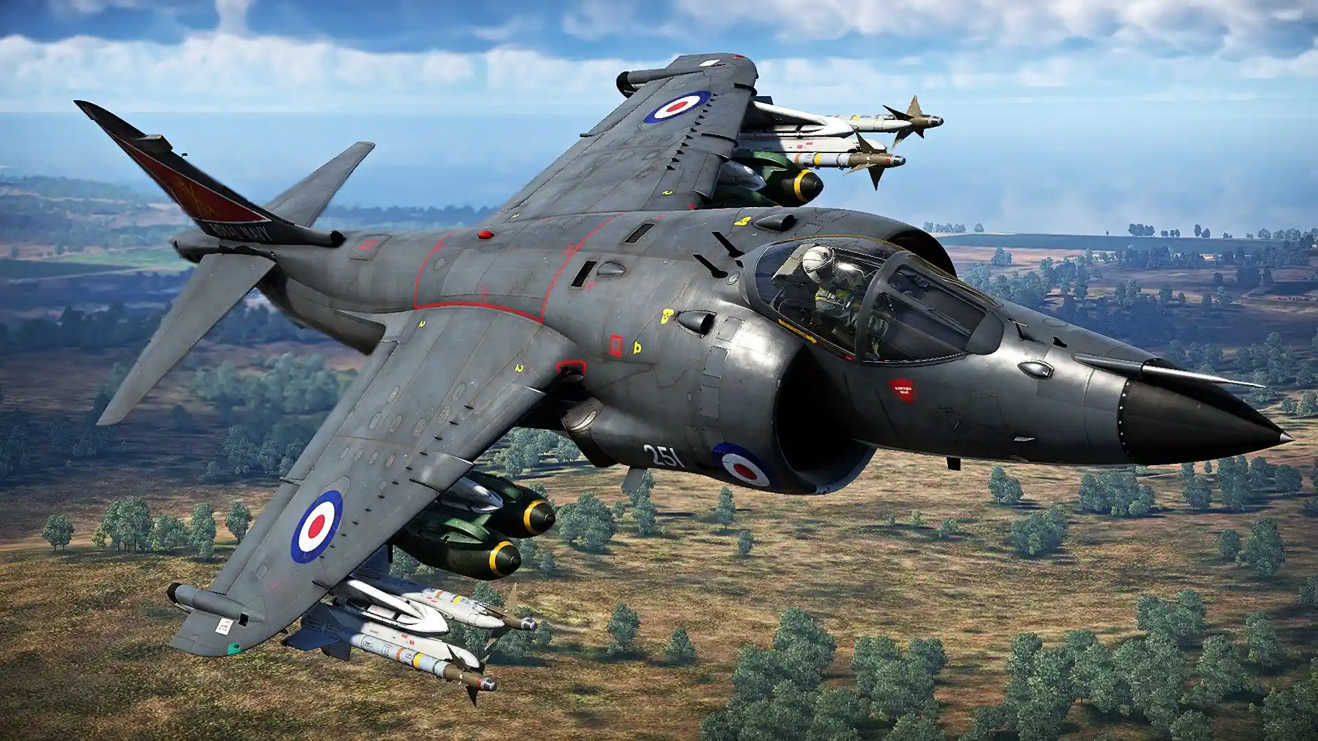Sea Harrier FRS.1Top .jpg